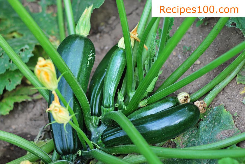 Zucchini spread
